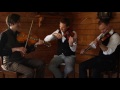 the nordic fiddlers bloc polska from delsbo