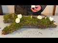 diy schnelle u0026 einfache osterdeko ast österlich dekorieren 🐣🐣🐣