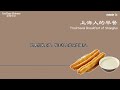 第74集 上海人的早餐 traditional breakfast of shanghai intermediate chinese podcast