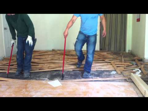 How to remove hardwood floors (nail down) How to remove hardwood floors (nail down)