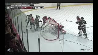 Will Hogan - AAA Hockey Defense