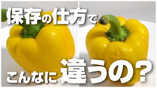 「改訂版」パプリカの保存方法が本当に効果があるのかを検証してみたら驚きの結果に！