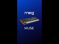 Exploring the Moog Muse's Mind-Blowing Onboard Effects!