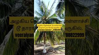 பொள்ளாச்சி டூ தாராபுரம் ரோடு அருகில், @veeraiyanrealestate6847