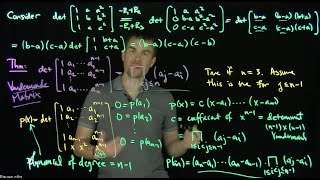 Vandermonde Matrices