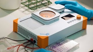 BENTO LAB - AFFORDABLE DNA ANALYSIS AND MOLECULAR BIOLOGY FOR ALL