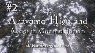 【4K】Winter in Akagi - Arayama Highland | Tranquil Snow \u0026 Mystic Forest | Immersed in White Serenity