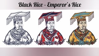 Black Rice - Emperor's Rice - Health Benefits and Indian Cooking #healthy #wholegrains#nutrition