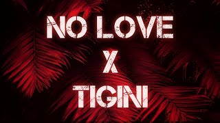 NO LOVE X TIGINI (Slowed and Reverb) Bass Boosted Mashup - Perfectly Remixed