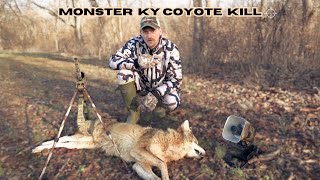 MONSTER KENTUCKY COYOTE KILL! (Largest in 34 years of hunting)