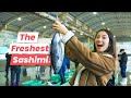 A Unique Sashimi Experience in Shikoku's Unexplored Fishing Village!