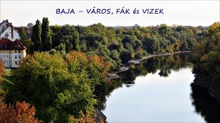 BAJA – VÁROS, FÁK és VIZEK