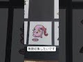 【ポケモンパン】第208弾 開封からファイリングまで【デコキャラシール】