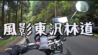 KLX125 飯能市　風影東沢林道