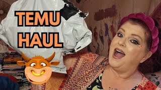 TEMU HAUL | February 11, 2025