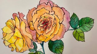 水彩画で薔薇を描く　Water color Rose