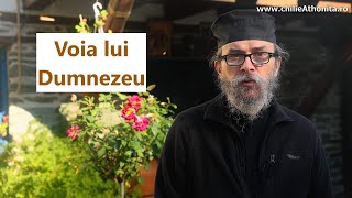 Voia lui Dumnezeu - p. Teologos