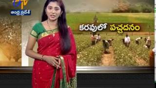 JaiKisan AP | కరవు జిల్లాలో పంట సిరులు-హంద్రీనీవా నీటితో పచ్చగా మారిన బీడు భూములు