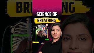 Science of Breathing 😮‍💨 #neetbiology #neetbiologypreparation #neet2025