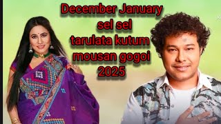 party koru chel new missing song 2025 tarulata kutum mousam  gogoi