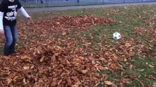 Leaf Explosion In Slow Mo! (1200 FPS)