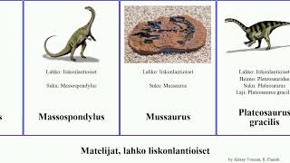 Matelijat, lahko liskonlantioiset gracilis reptilia Elaltitan Zuolong Brontomerus Lapparentosaurus