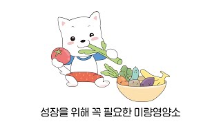 [골고루 키쑤욱]  “성장을 위해 꼭 필요한 미량영양소 ! \