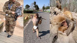 The Best of Monkey Videos - A Funny Monkeys Compilation Ep7