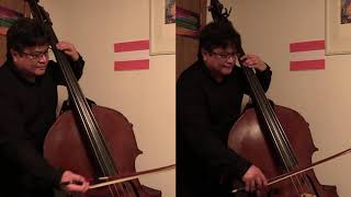 Quarantine video #3: dbl. bass (violone) solo fr. 4th mvt. of F.J. Haydn's Symphony #72