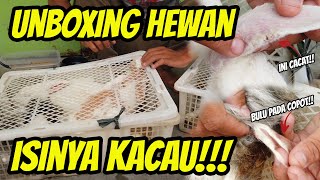 UNBOXING KELINCI BANYAK BANGET‼️ TAPI KONDISINYA BEGINI 😭