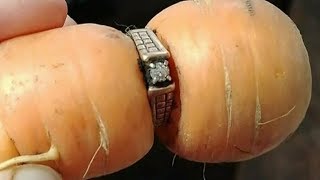 One carrot diamond: Woman finds lost ring inside vegetable