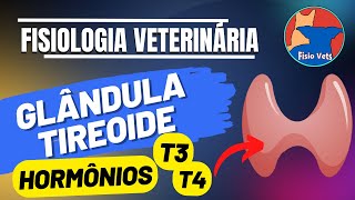 Fisiologia da glândula tireoide (T3 e T4) - Medicina veterinária