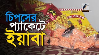 চিপসের প্যাকেটে ইয়াবা I Maasranga News