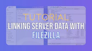 Snakecraft Hosting | Linking Server Data with Filezilla