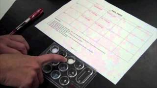 Forming Ionic Compounds Lab