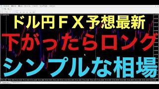 【ドル円FX予想最新】下がったらロング、ダブルトップには気を付ける！シンプルに考えた方がうまくいく気がします！果たして最高値更新なるか！？