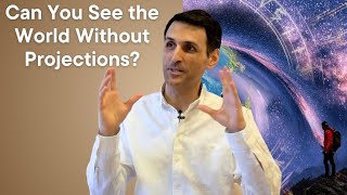 Can You See the World Without Projections? | Shai Tubali