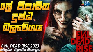 ලේ පිපාසිත දුෂ්ඨ බලවේගය 😱 | Evil Dead Rise 2023 Movie Explained in Sinhala| Inside Cinemax