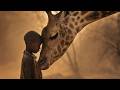 UNBURDEN YOUR SOUL | African Ancestral Voices for Emotional Cleansing | 528Hz Somatic Healing