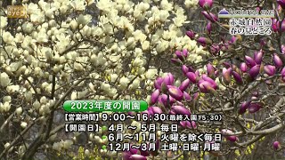 【ネイチャーズｅｙｅ】赤城自然園　春の見どころ(23/04/05)