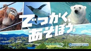 （とべ動物園）「でっかく、あそぼう。とべもり＋」Web CM