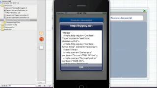 Xcode Tutorial: Inject Javascript Into Web View