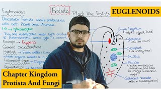 Euglenoids | Plant Like Protists (Algae) | Chapter protista and Fungi