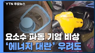 요소수 파동에 '에너지 대란' 우려까지...기업체 비상 / YTN