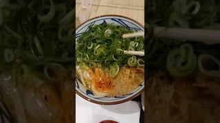 丸亀製麺　かけうどん並　イカ天　いなり　690円