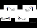 new alln 1 double landmine workouts