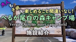 【キャンプ場紹介】1年中みんなが楽しい山梨県『べるが尾白の森キャンプ場』