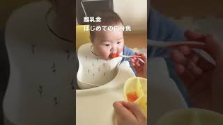 離乳食 はじめて白身魚をたべる てんちゃん #shorts