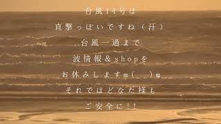 9/16（金）お倉ヶ浜波情報