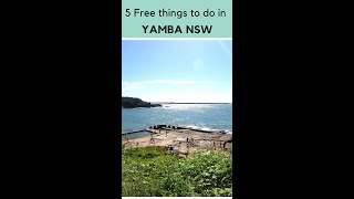 5 Fun Free Things To Do In Yamba NSW